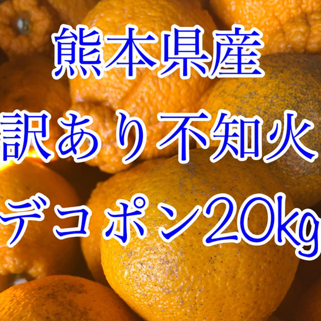 熊本県産 不知火デコポン 20kg  食品/飲料/酒の食品(フルーツ)の商品写真