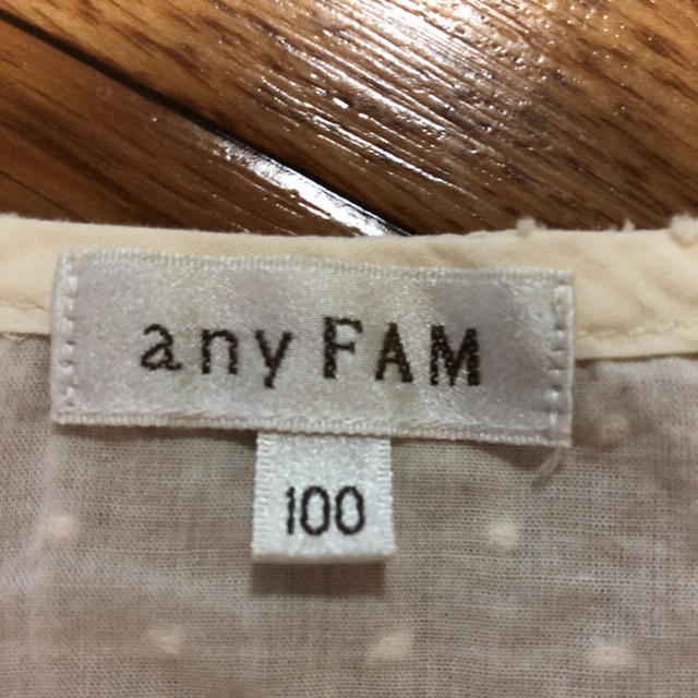 anyFAM(エニィファム)のanyFAM フリルブラウス 100cm キッズ/ベビー/マタニティのキッズ服女の子用(90cm~)(Tシャツ/カットソー)の商品写真