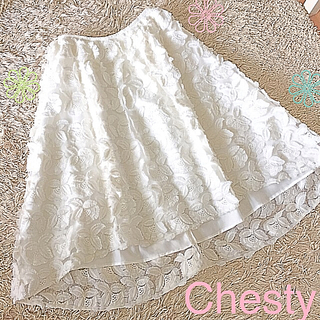 チェスティ(Chesty)のChesty フラワー刺繍レーススカート S〜XS(ひざ丈スカート)
