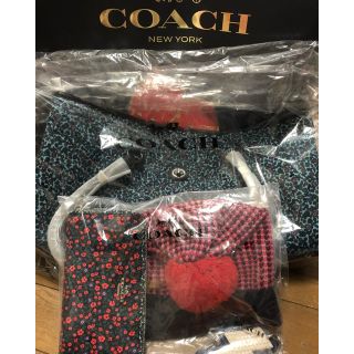 コーチ(COACH)のCOACH 福袋(トートバッグ)