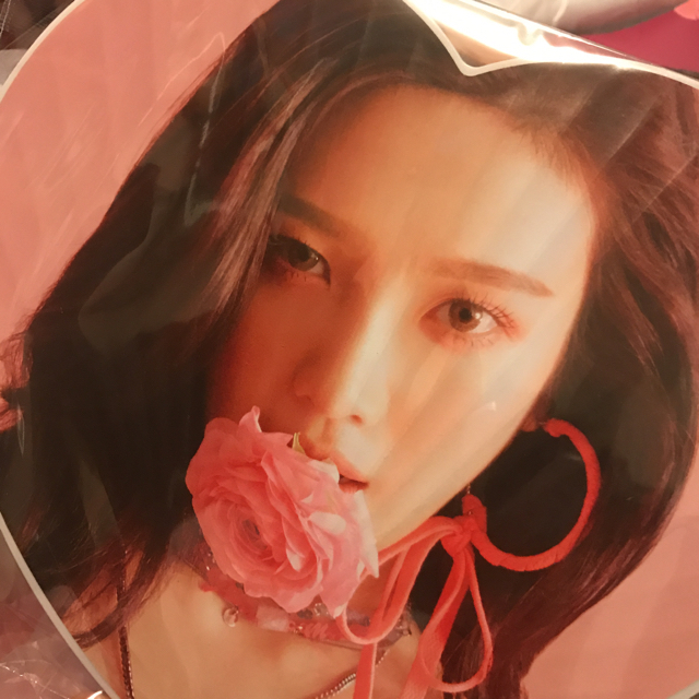 Red velvet ジョイ うちわ エンタメ/ホビーのCD(K-POP/アジア)の商品写真