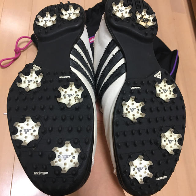 adidas(アディダス)のシューズバッグつき★ adidas ゴルフシューズ 23.5cm スポーツ/アウトドアのゴルフ(シューズ)の商品写真