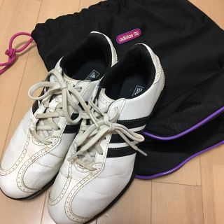 アディダス(adidas)のシューズバッグつき★ adidas ゴルフシューズ 23.5cm(シューズ)