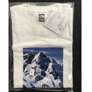 シュプリーム(Supreme)の西脇様専用 Supreme North Face Mountain Tee(その他)