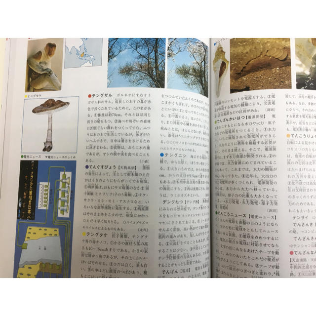 学研(ガッケン)の（学研）ベスト図解百科 エンタメ/ホビーの本(語学/参考書)の商品写真