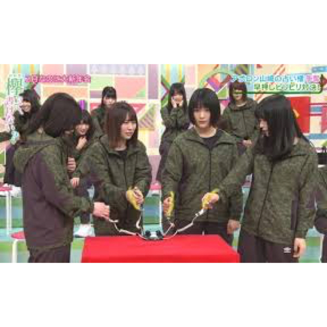 欅坂46 けやき坂46 ジャージ 上下セット