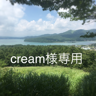 トゥミ(TUMI)のcream様専用出品(モバイルケース/カバー)