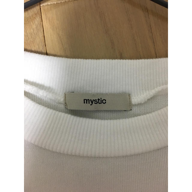 mystic(ミスティック)のmystic 袖シフォン カットソー レディースのトップス(カットソー(長袖/七分))の商品写真