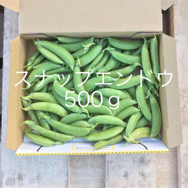 鹿児島産スナップエンドウ500g 食品/飲料/酒の食品(野菜)の商品写真