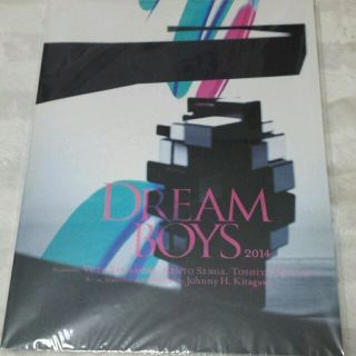 DREAM BOYS 2014 パンフ(アイドルグッズ)