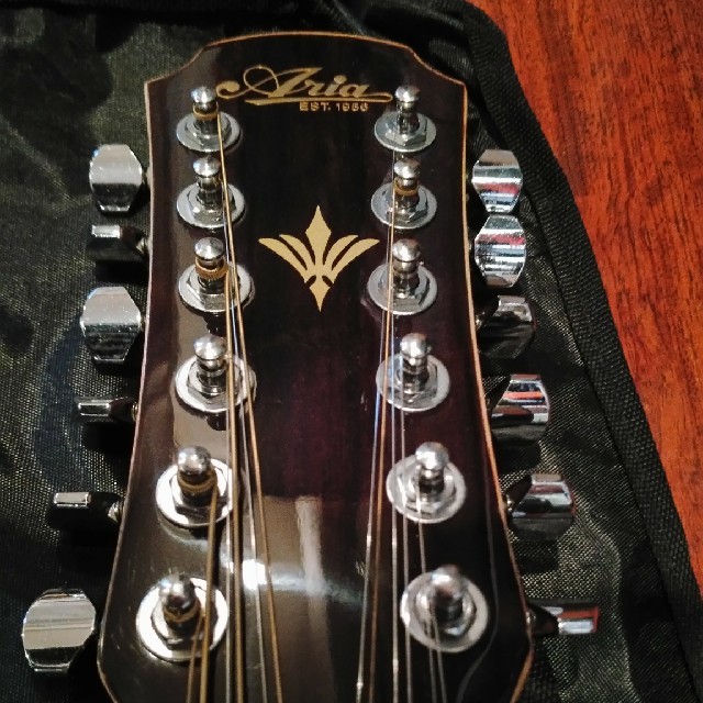 AriaCompany(アリアカンパニー)の【期間限定値下げ】Aria FET-12 １２弦エレアコギター ソフトケース付 楽器のギター(アコースティックギター)の商品写真