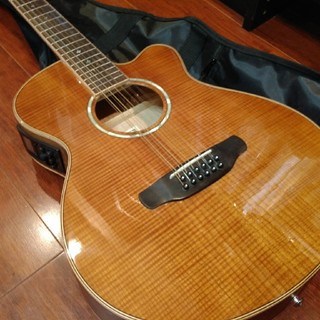 Aria FET-12 SPLN  12弦ギター