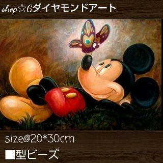 【295】20*30cm⭐ダイヤモンドアート(アート/写真)