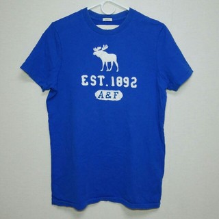 アバクロンビーアンドフィッチ(Abercrombie&Fitch)のABERCROMBIE & FITCH アバクロ Tシャツ ブルー メンズM(Tシャツ/カットソー(半袖/袖なし))