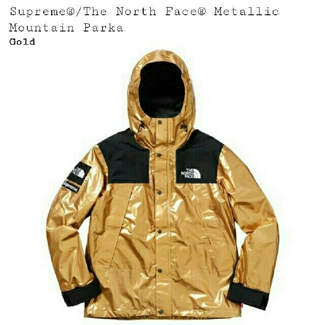 Supreme(シュプリーム)のsupreme north face マウンテンパーカー　L メンズのジャケット/アウター(マウンテンパーカー)の商品写真