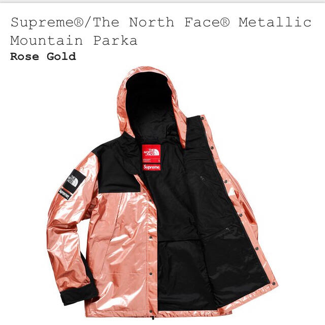 Supreme(シュプリーム)のSupreme the niece face metallic  メンズのジャケット/アウター(マウンテンパーカー)の商品写真