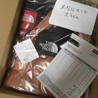 シュプリーム(Supreme)のsupremeNorth faceマウンテンパーカ Rose L(マウンテンパーカー)