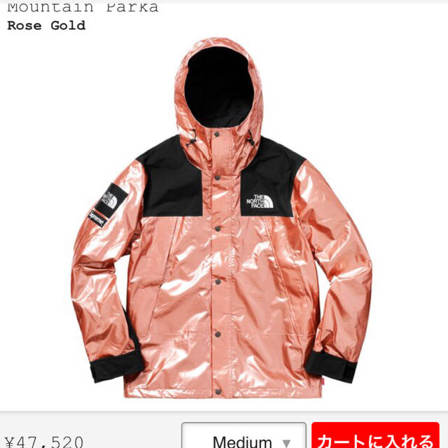 Supreme(シュプリーム)のMサイズ Metallic Mountain Parkaピンク メンズのジャケット/アウター(マウンテンパーカー)の商品写真