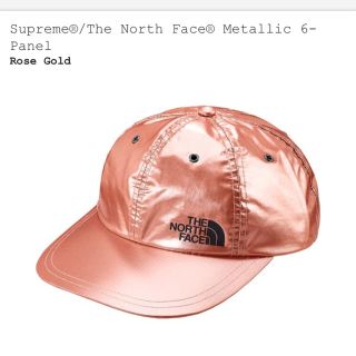 シュプリーム(Supreme)のsupreme the north face metallic 6 panel(キャップ)