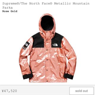 シュプリーム(Supreme)のSupreme®/The North Face®(マウンテンパーカー)