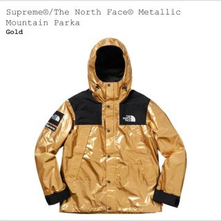 シュプリーム(Supreme)のThe North Face® Metallic Mountain Parka(マウンテンパーカー)