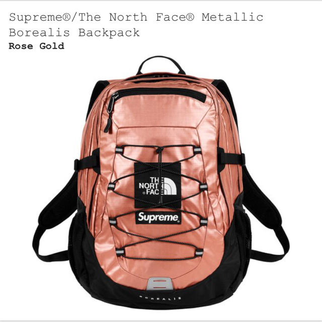 Supreme The North Face Backpack