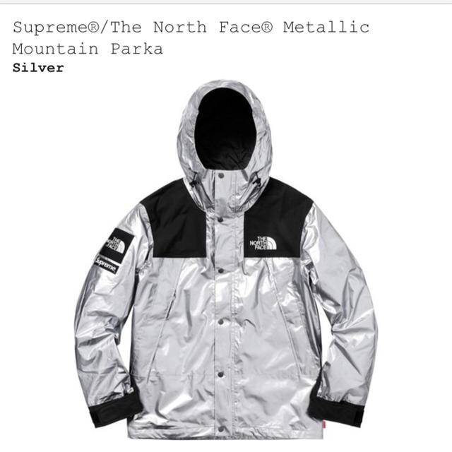 Supreme The North Face Silver Sz M