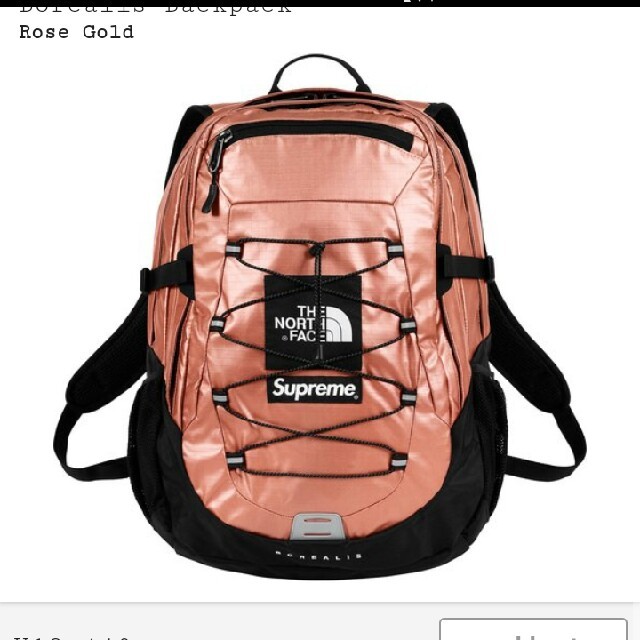 Supreme×northface  metallic backpack