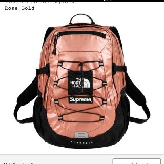 シュプリーム(Supreme)のSupreme×northface  metallic backpack(バッグパック/リュック)