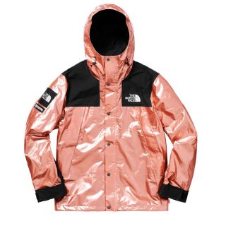 シュプリーム(Supreme)のSupreme The North Face Metallic Mountain(マウンテンパーカー)