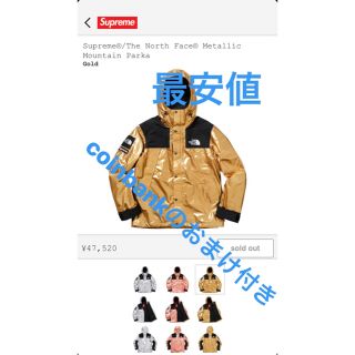 シュプリーム(Supreme)のsupreme north face マウンテンパーカー coinbankおまけ(マウンテンパーカー)