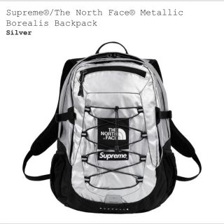 シュプリーム(Supreme)のsupreme north face (バッグパック/リュック)