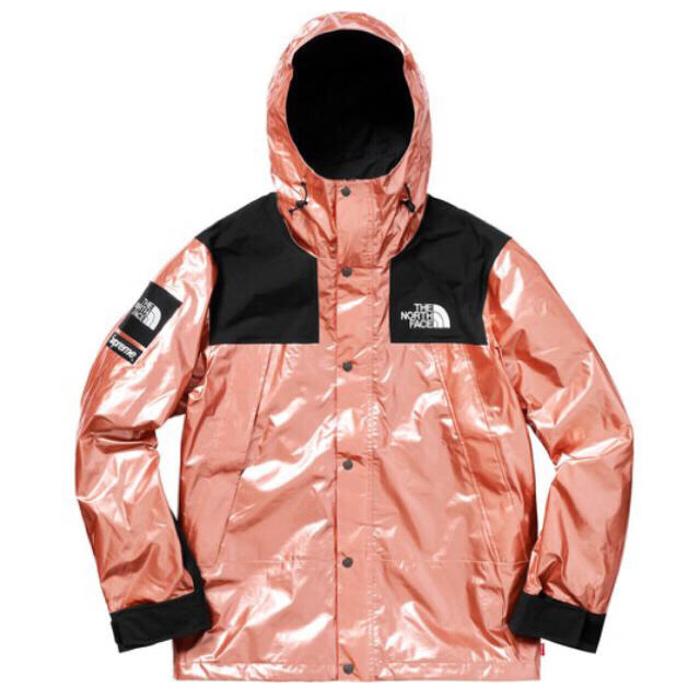 Supreme North Face MetallicMountainParka