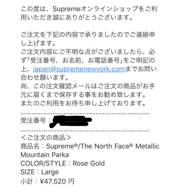 Supreme(シュプリーム)のsupreme northface マウンテンパーカー L メンズのジャケット/アウター(マウンテンパーカー)の商品写真