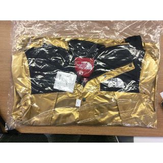 シュプリーム(Supreme)のupreme The North Face mountain parka S(マウンテンパーカー)