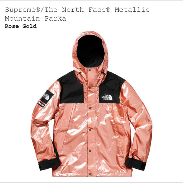 Supreme(シュプリーム)のハルルルル様専用 メンズのジャケット/アウター(マウンテンパーカー)の商品写真