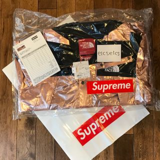 シュプリーム(Supreme)のSupreme The North Face Metallic Mountain(マウンテンパーカー)