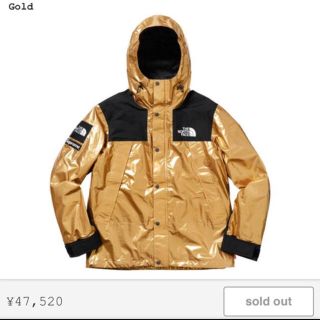 シュプリーム(Supreme)のsupreme  north Face(マウンテンパーカー)