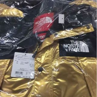 シュプリーム(Supreme)のSupreme The North Face マウンテンパーカー(マウンテンパーカー)