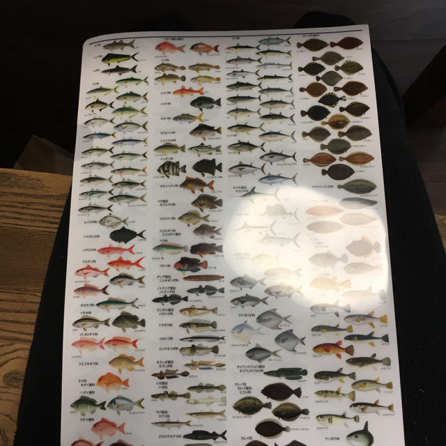 『日本水産魚譜』307選　ニッスイ