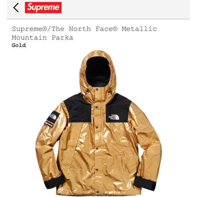 Supreme(シュプリーム)の最安値supreme THE NORTH FACE マウンテンパーカー メンズのジャケット/アウター(マウンテンパーカー)の商品写真