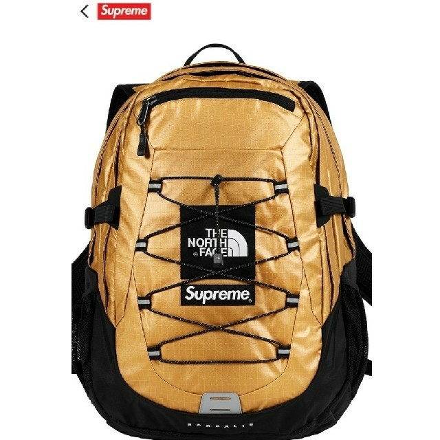 [送料込]Supreme The North Face Backpack