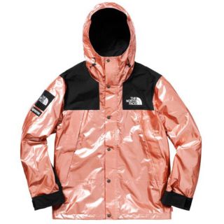 シュプリーム(Supreme)のシュプリーム  ノース supreme The North Face Sサイズ(マウンテンパーカー)