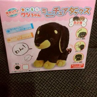 おかえりワンちゃん ミニチュアダックスフンド(知育玩具)