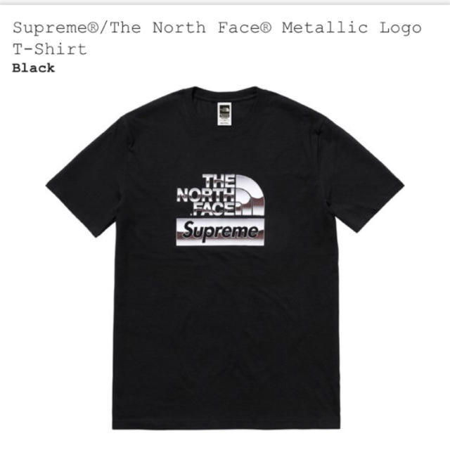 Supreme The North Face Metalic Logo Tee