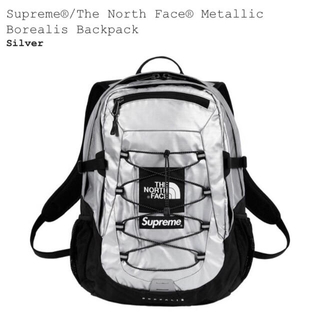 シュプリーム(Supreme)のMizさん専用 Supreme/The North Face Backpack (バッグパック/リュック)