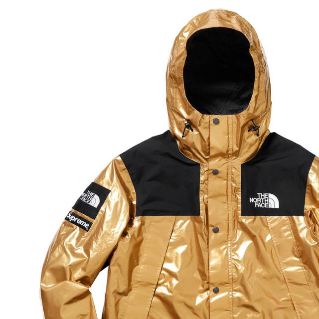 2022人気No.1の Supreme - size:S Metallic Mountain Parka マウンテン