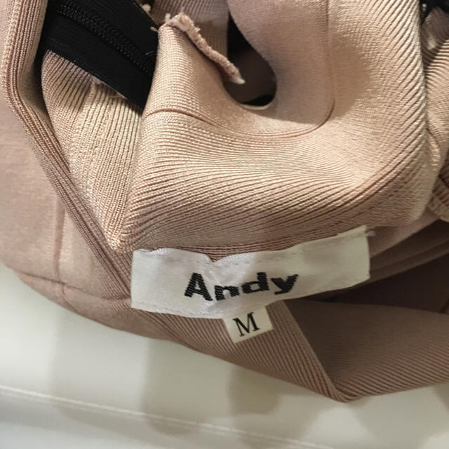 Andy(アンディ)のAndy ミニドレス ベージュ黒 レディースのフォーマル/ドレス(ナイトドレス)の商品写真