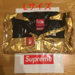 シュプリーム(Supreme)のsupreme northface mountainparkaGOLD L(マウンテンパーカー)