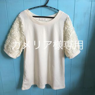 エージーバイアクアガール(AG by aquagirl)のカットソー専用です(カットソー(半袖/袖なし))